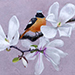 Kazuya Ogawa Gallery